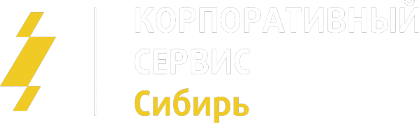 Логотип компании Автозапчасти Корпоративный сервис - Сибирь центр продажи запасных частей Вебасто Форд Фольксваген