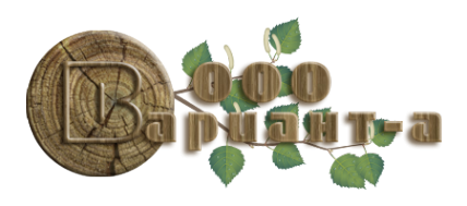 Логотип компании ВАРИАНТ-А