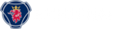 Логотип компании АлтайСкан