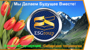 Логотип компании ES Group Ltd