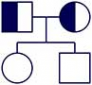 Логотип компании Сибирский институт репродукции и генетики человека