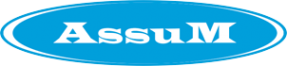 Логотип компании Ассум