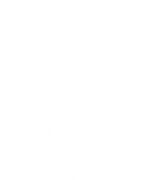 Логотип компании АЛТАЙ-ШТАМП & ПЕЧАТЬ