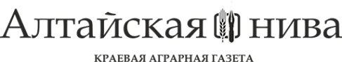 Логотип компании Алтайская нива