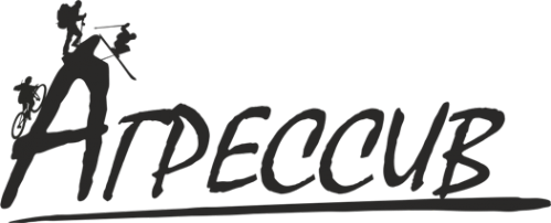 Логотип компании Агрессив