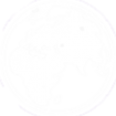 Логотип компании Планета-Алтай