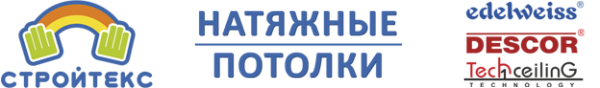 Логотип компании Стройтекс Регион