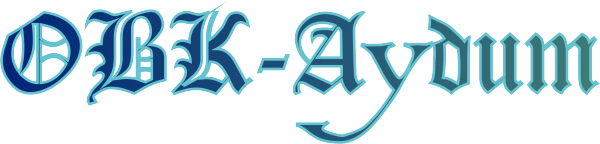 Логотип компании ОВК-Аудит